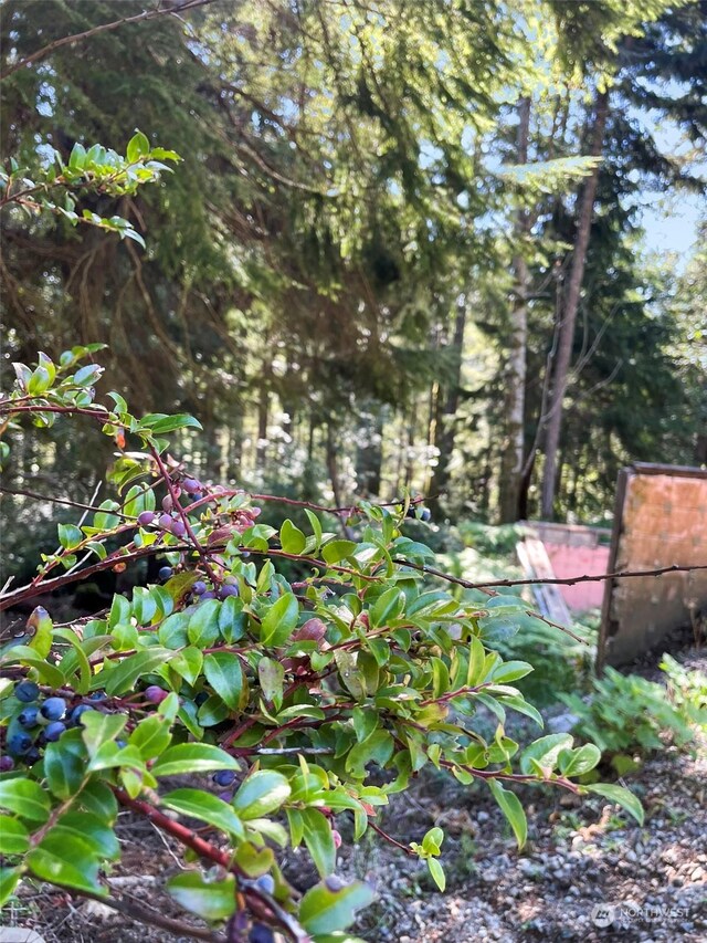111 N Colony Surf Dr, Lilliwaup, WA 98555