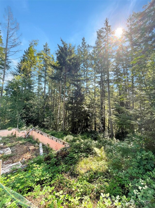111 N Colony Surf Dr, Lilliwaup, WA 98555