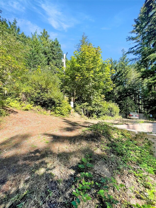 111 N Colony Surf Dr, Lilliwaup, WA 98555