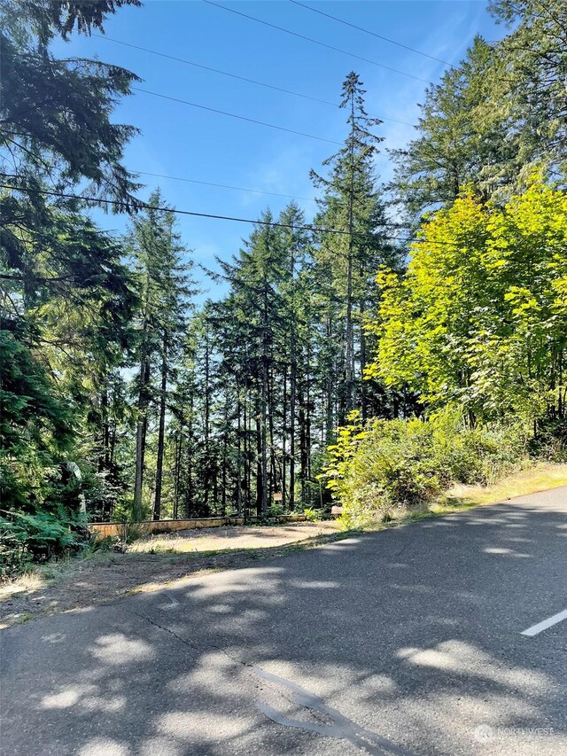 111 N Colony Surf Dr, Lilliwaup, WA 98555