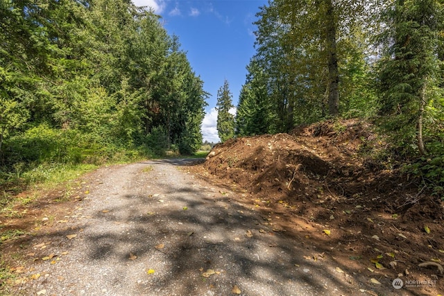 Listing photo 3 for 0XXX Brown Rd, Ferndale WA 98248