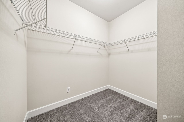 walk in closet featuring carpet