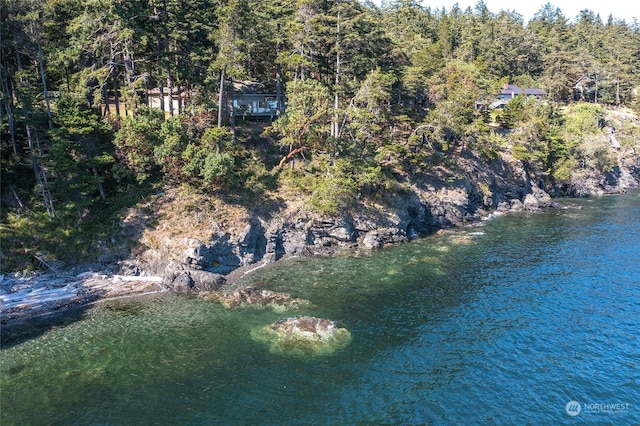 drone / aerial view with a wooded view