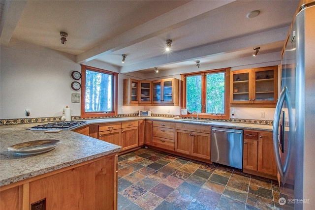 kitchen with appliances with stainless steel finishes, a sink, glass insert cabinets, and plenty of natural light