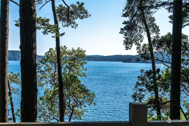 view of water feature