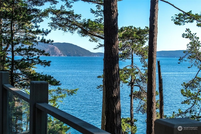 water view with a mountain view