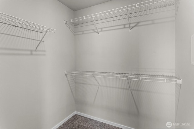 518 Chinook Winds Ln, Tieton, WA 98947 - spacious closet with carpet