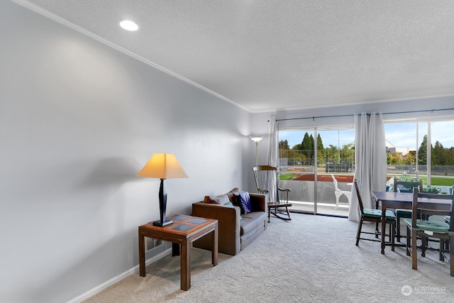 carpeted living room with a textured ceiling