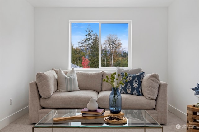 view of carpeted living room