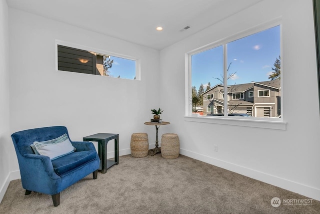 sitting room featuring carpet