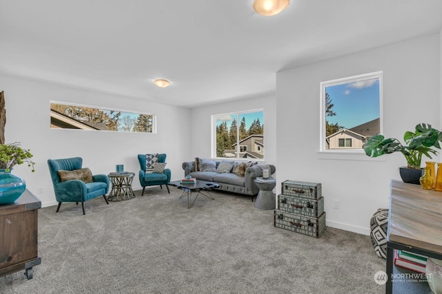 living area with light colored carpet and a healthy amount of sunlight