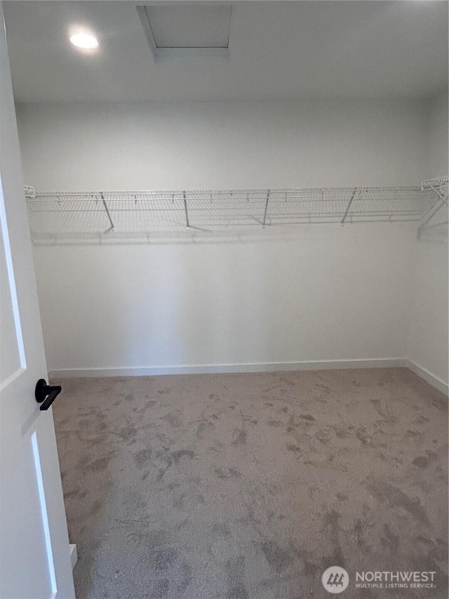 spacious closet with attic access and carpet floors