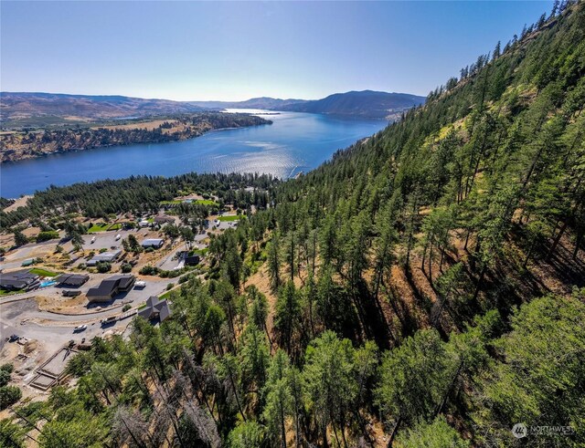 57 Mcclosky Dr, Chelan, WA 98816 - photo 8