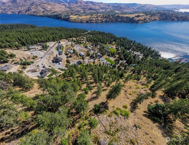 57 Mcclosky Dr, Chelan, WA 98816 - photo 13