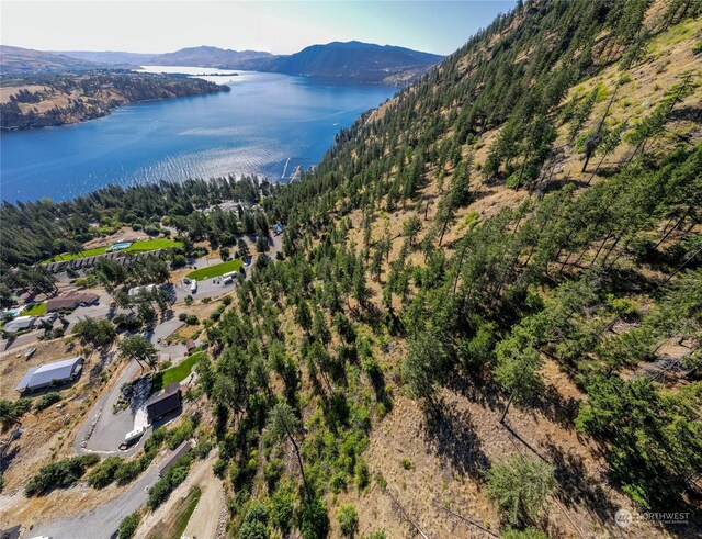 57 Mcclosky Dr, Chelan, WA 98816 - photo 19
