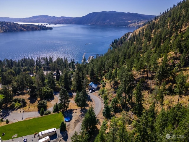 57 Mcclosky Dr, Chelan, WA 98816 - photo 6