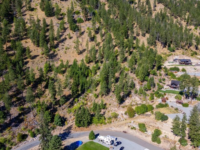 57 Mcclosky Dr, Chelan, WA 98816 - photo 24