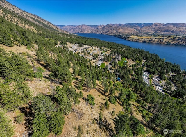 57 Mcclosky Dr, Chelan, WA 98816 - photo 15