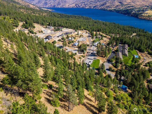 57 Mcclosky Dr, Chelan, WA 98816 - photo 17