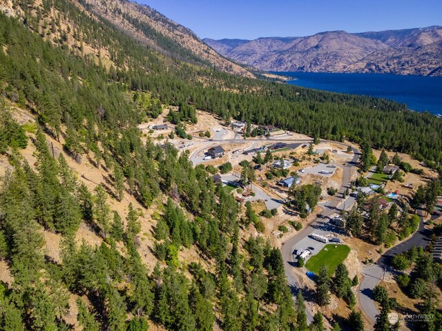 57 Mcclosky Dr, Chelan, WA 98816 - photo 18