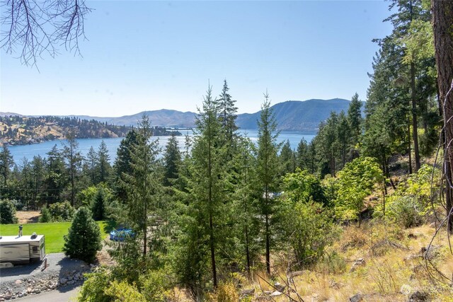 57 Mcclosky Dr, Chelan, WA 98816 - photo 10