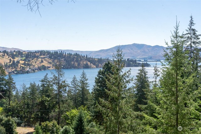57 Mcclosky Dr, Chelan, WA 98816 - photo 12