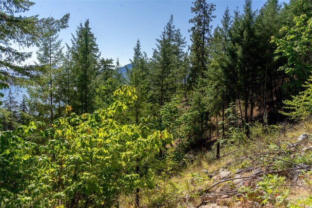 57 Mcclosky Dr, Chelan, WA 98816 - photo 16