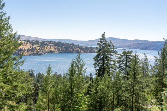 57 Mcclosky Dr, Chelan, WA 98816 - photo 1
