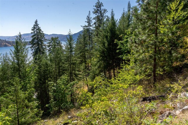 57 Mcclosky Dr, Chelan, WA 98816 - photo 22