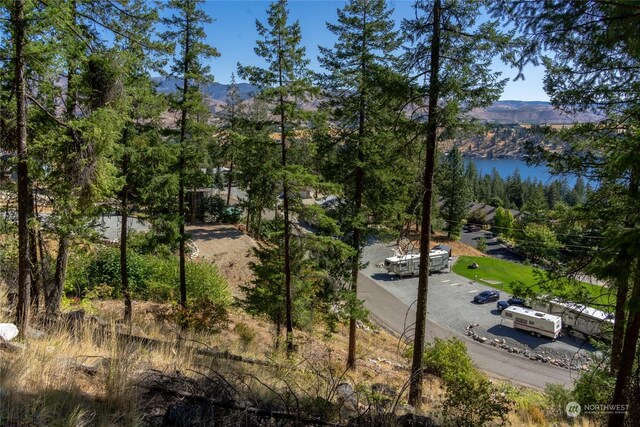57 Mcclosky Dr, Chelan, WA 98816 - photo 11