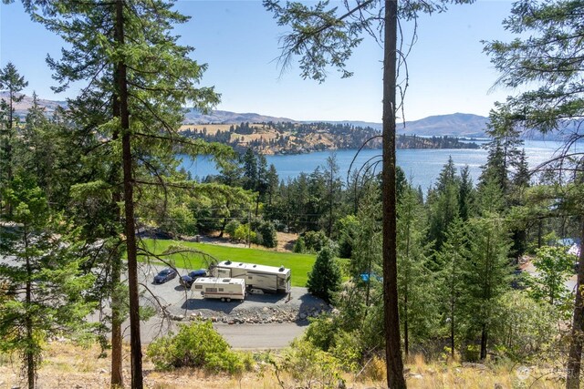 57 Mcclosky Dr, Chelan, WA 98816 - photo 7