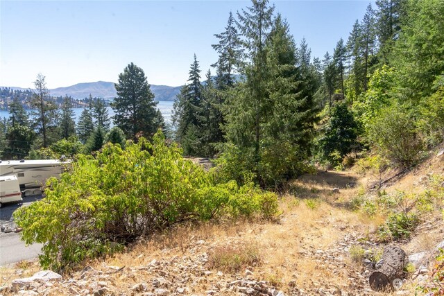 57 Mcclosky Dr, Chelan, WA 98816 - photo 23