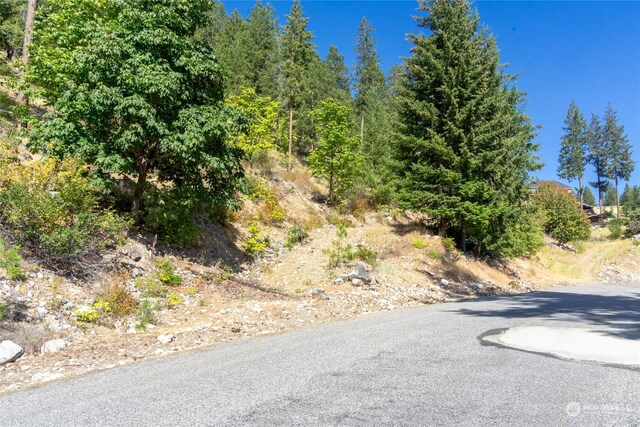 57 Mcclosky Dr, Chelan, WA 98816 - photo 2