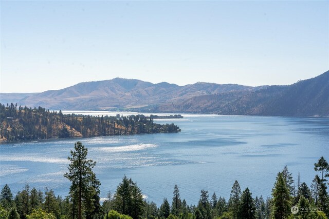 416 Mcclosky Dr, Chelan, WA 98816 - photo 1