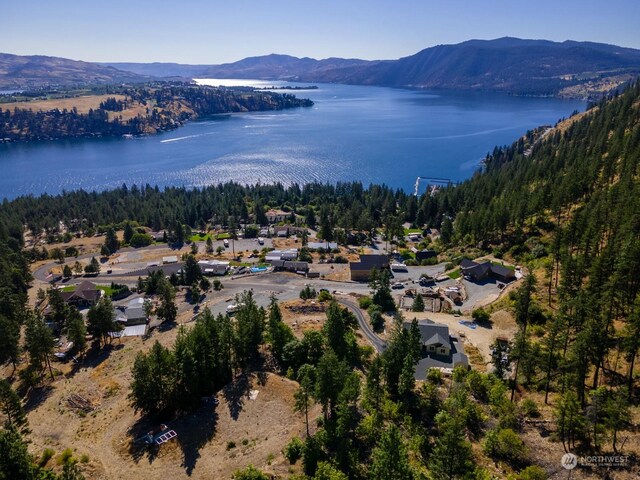 416 Mcclosky Dr, Chelan, WA 98816 - photo 5