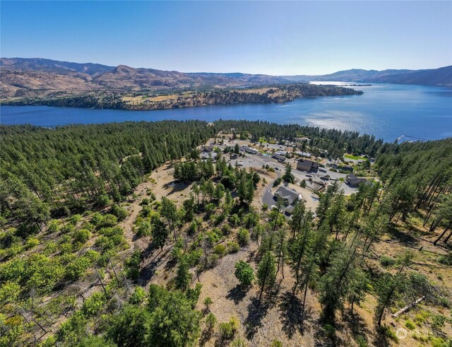 416 Mcclosky Dr, Chelan, WA 98816 - photo 14