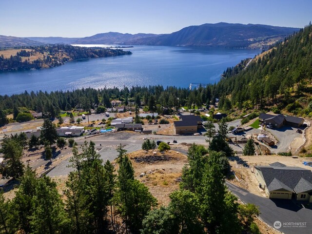 416 Mcclosky Dr, Chelan, WA 98816 - photo 15