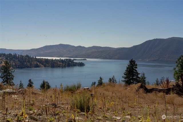 416 Mcclosky Dr, Chelan, WA 98816 - photo 16