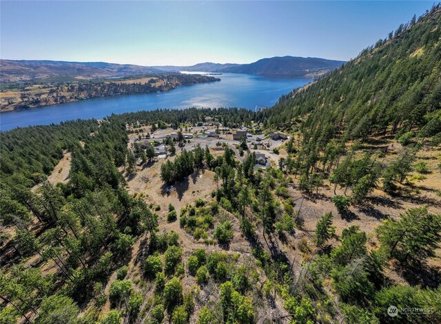 416 Mcclosky Dr, Chelan, WA 98816 - photo 19