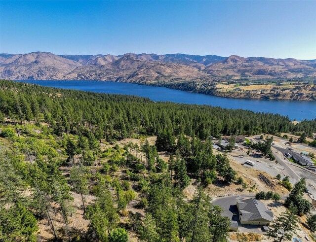 416 Mcclosky Dr, Chelan, WA 98816 - photo 25