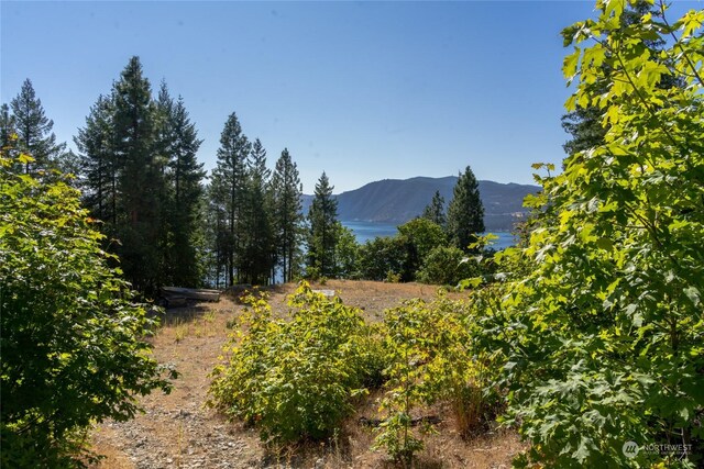 416 Mcclosky Dr, Chelan, WA 98816 - photo 26