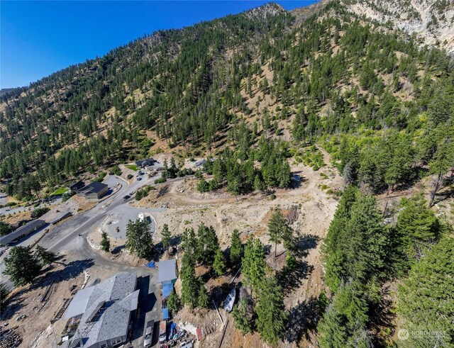 416 Mcclosky Dr, Chelan, WA 98816 - photo 28