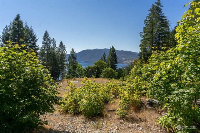416 Mcclosky Dr, Chelan, WA 98816 - photo 32