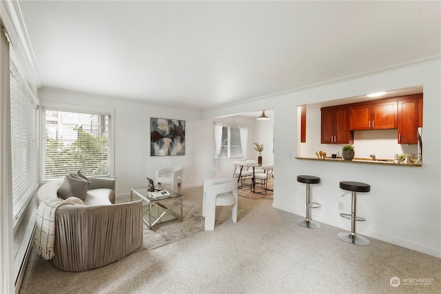 living room with light colored carpet and ornamental molding