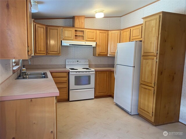 kitchen with ornamental molding, sink, and white appliances