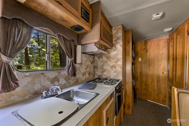 kitchen with sink, stainless steel gas range, and extractor fan