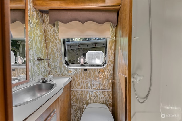 bathroom featuring toilet and vanity