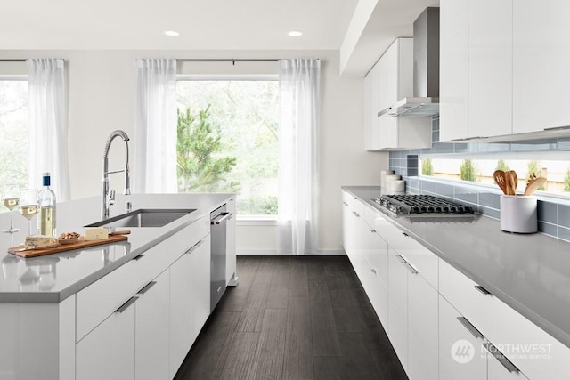 kitchen featuring wall chimney range hood, modern cabinets, a sink, and appliances with stainless steel finishes