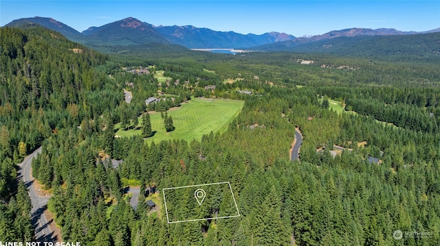 2021 Ruby King Loop, Cle Elum WA, 98922 land for sale