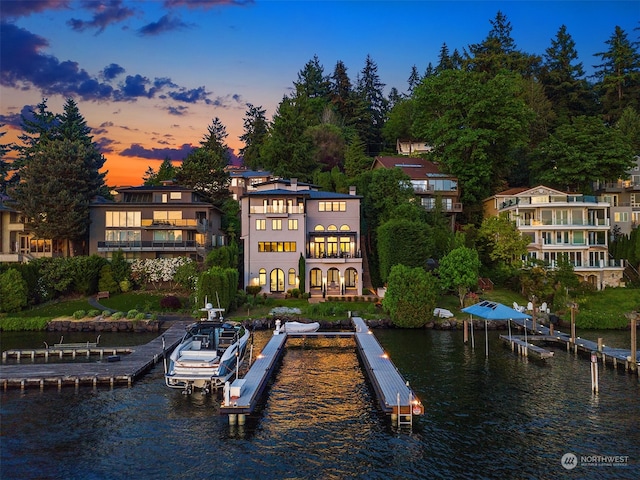 dock area with a water view